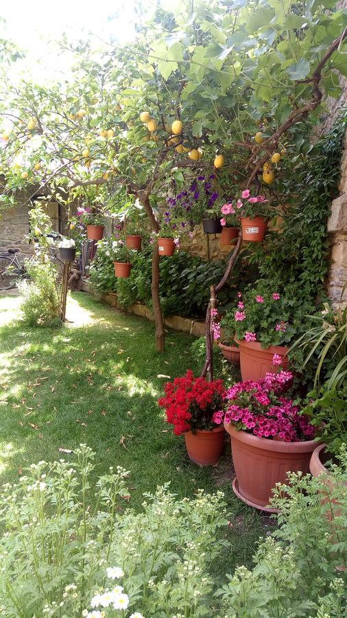 B&B Teresina Villasalto 외부 사진